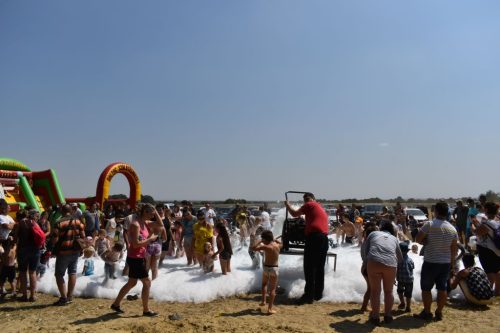 DSC 0491