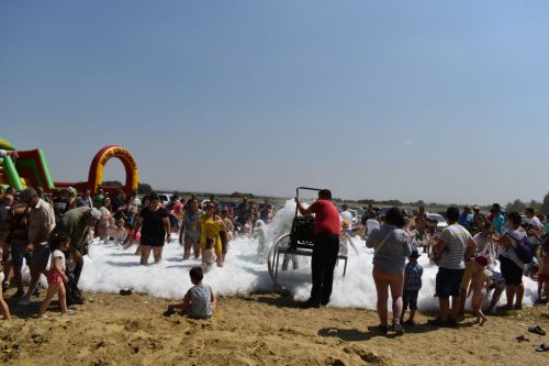 DSC 0495