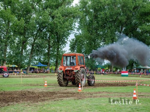 475980125 635773192315249 4112528381524546814 n
