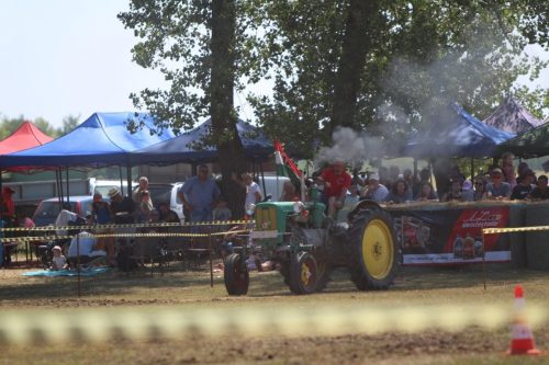764638230 1063018952924002 8843321930215064872 n
